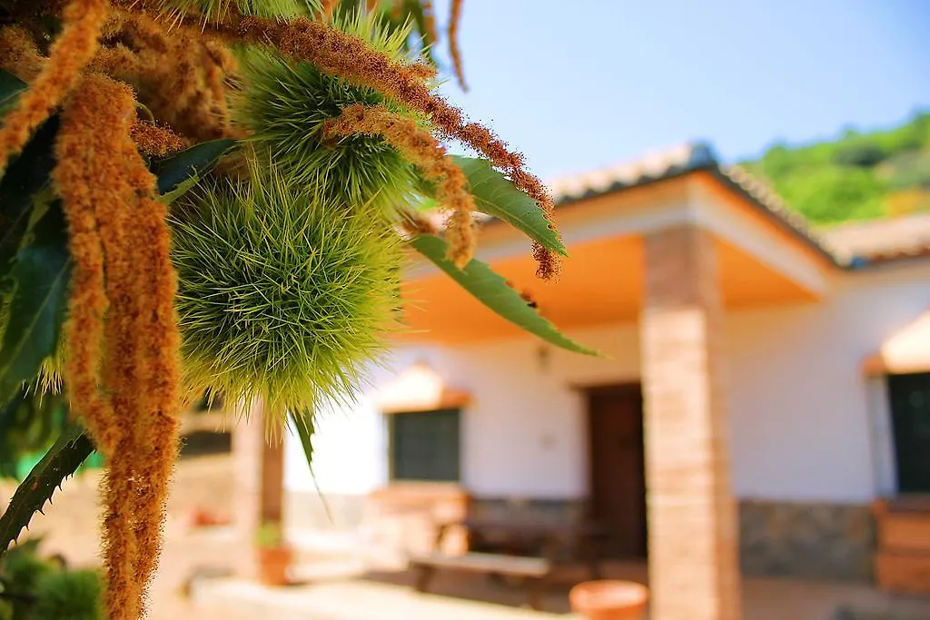 Casa Rural Molino De La Maquina Cartajima Spain